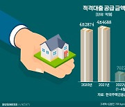 '첫 집 마련용' 인기 끌던 적격대출..찾는 발길 '뚝'