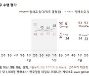 尹대통령, 직무 긍정평가 43%..3주 연속 하락세[한국갤럽]