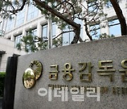 신한은행도 '서울 2개 지점 이상 외환거래 포착'..금감원 검사 착수