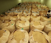 정부, 쌀 10만t 추가 시장격리..농업계 "환영"