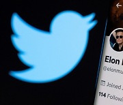 머스크 트위터 인수하려다 테슬라 주가 2분기 38% 폭락(상보)