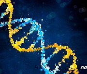 민간업체서 가능한 유전자검사 항목 늘어난다..'역량 인증제' 도입