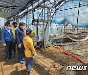 이재식 농협중앙회 부회장, 집중호우 피해 농업현장 점검