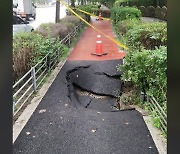 서울 가락시장 인근 도로에 지름 2m 땅 꺼짐..1명 부상