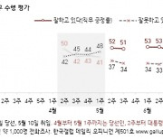 갤럽 "尹대통령 지지율 43%..한달 사이에 10%p 하락"