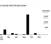 우크라이나 정부 채무 재조정도 검토..9월 이전에 결론 내릴듯