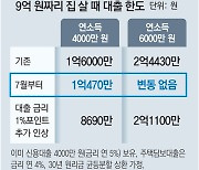 4000만원 연봉자, 9억 집 살 때 대출한도 1억6000만원 →1억