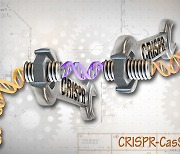 크리스퍼 유전자가위 빛 본지 10년..세상에 없었던 치료법이 나온다