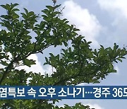 대구·경북 폭염특보 속 오후 소나기..경주 36도