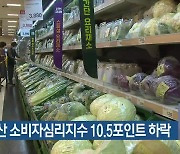 6월 부산 소비자심리지수 10.5포인트 하락