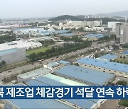 충북 제조업 체감경기 석달 연속 하락