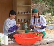 고은아, 배윤정에 쌓였던 서운함 폭발 '복수 예고' (빼고파)