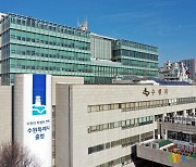 수원시 '국내 박람회 개별참가 지원 사업' 참여기업 모집