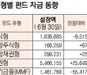 [표]유형별 펀드 자금 동향(6월 30일)