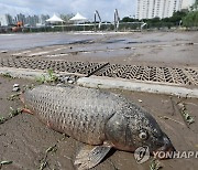 폭우의 흔적