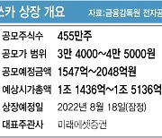 '폭우 속 띄운 승부수'..IPO 도전장 내민 쏘카·케이뱅크