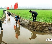 홍수 피해 막기 위해 배수로 정리 중인 북한 농업 근로자들