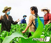 농장원들 사이에서 '현지정치사업'을 진행 중인 북한 당 일꾼