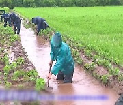 [요즘 북한은] 코로나19 속 장마 폭우..방역·농사 걱정