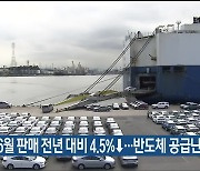 현대차 6월 판매 전년 대비 4.5%↓..반도체 공급난 여파