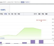 '새내기' 보로노이 깜짝 급등..인트론바이오는 4년만에 기술 반환 [한재영의 바이오 핫앤드콜드]