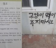 초교 앞에 죽은 고양이 매단 30대男..3년 전 '한동대 사건' 범인?