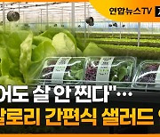 [자막뉴스] "먹어도 살 안 찐다"..저칼로리 간편식 샐러드 인기