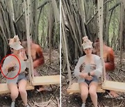 [영상] 여성 관람객에 '나쁜 손' 올린 오랑우탄..훈련 받았나?