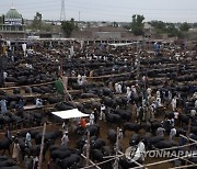 Pakistan Eid al-Adha