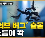 [자막뉴스] '다닥다닥' 수도권에 벌레떼 출몰..긴급 방역