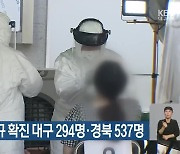코로나19 신규 확진 대구 294명·경북 537명