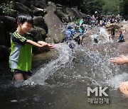 [포토] 과천향교 계곡에서 물놀이 하는 어린이들