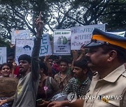 India Tree Protest