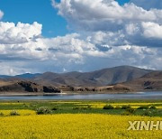 CHINA-TIBET-YAMDROK LAKE-SCENERY(CN)