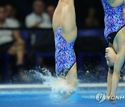 Hungary Swimming Worlds