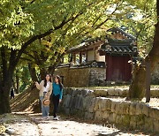 영주시,14인 이하 소규모 여행객 유치 여행사 인당 1~8만원 지원