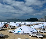 해수욕장 뒤덮은 '부산엑스포 유치' 염원