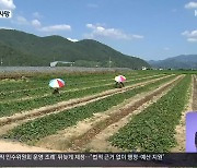 폭염 속 야외 작업자 잇단 사망..논밭 '온열질환 주의보'