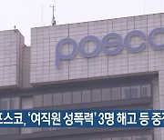 포스코, '여직원 성폭력' 3개 해고 등 중징계