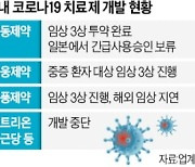 허가는 깐깐, 임상은 지지부진..코로나 치료제 접는 'K바이오'