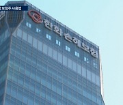 "방어주로 내년까지 써라"..'하락장' 보험주 사용법