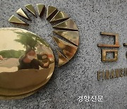 금감원 "최대주주 자주 바뀌는 상장사 투자 위험성 높아"