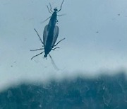 Lovebug outbreak hits northwestern Seoul