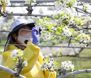 전남도 '원예산업 5개년 발전' 청사진 그린다