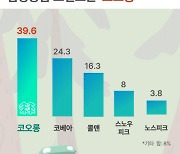 임팩트피플스 "코오롱스포츠 4060 캠핑용품 선호도 1위, 신중년 구매율 가장 높은 캠핑용품은"