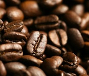 부가세 10% 면제.. 8월부터 커피 원두 구매부담 줄 듯