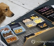 부산시, 반려동물 수제 간식 소상공인 마케팅 지원