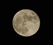 올해 가장 큰 달 뜬다..김해천문대, 13∼14일 관측회