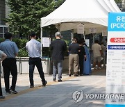 [특징주] 코로나19 재확산에 진단키트주 급등..수젠텍 상한가