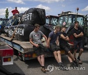 Netherlands Farmers Protests